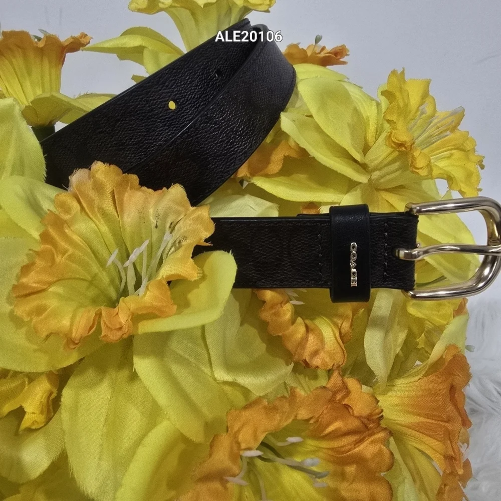 Coach Women Brown Belt with Gold Buckle F78179 Size Small